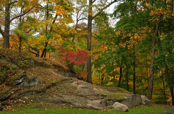 Старые Скалистые Обнажения Среди Осенних Цветов Северном Парке Огайо — стоковое фото