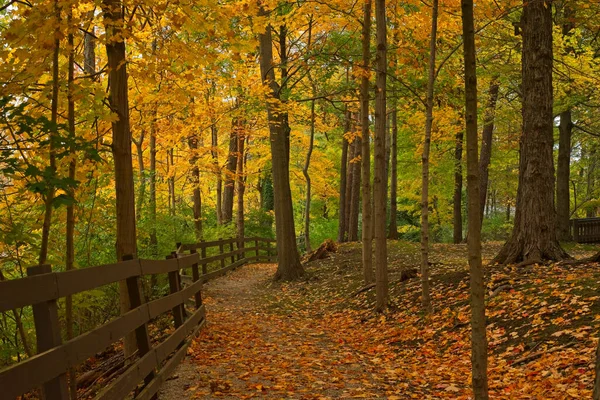 秋の色の中 オハイオ北部の公園のフェンスに沿って葉の道 — ストック写真