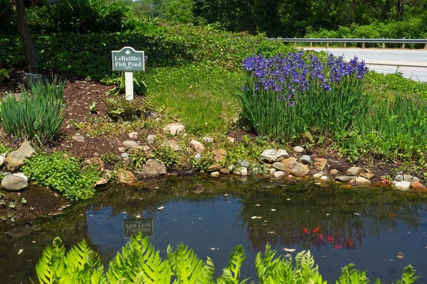 Coshocton Usa Mai 2023 Ein Koi Teich Und Garten Schmiegen — Stockfoto