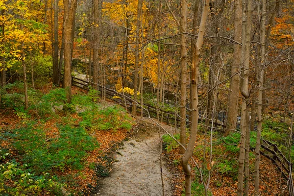 険しい道は 晩秋の色の中 オハイオ州クリーブランド近くのオルムステッド滝のデビッド フォーティア パークのロッキー川につながります — ストック写真