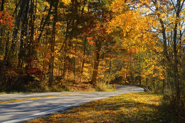 Country road curving through a colorful woodland in autumn