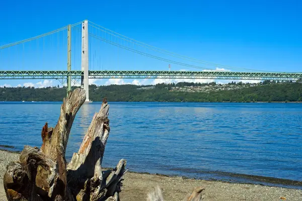 stock image The Tacoma Narrows Bridge is seen across the Tacoma Narrows channel with driftwood on the beach in foreground; focus is on the driftwood.