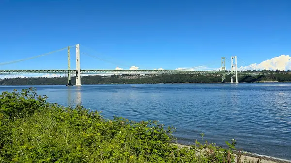 stock image Tacoma Narrow Bridge and park