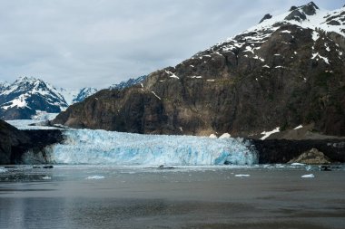 The Margerie Glacier spills into the Tarr Inlet in Glacier Bay National Park, Alaska. The blue tinge in the ice is most noticeable on overcast days. clipart