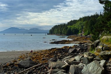 Ketchikan, Alaska yakınlarındaki Herring Koyu 'nda küçük bir sahil, ormanlar, deniz ve uzak dağlarla çevrelenmiştir..