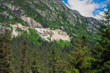 Alaska 'nın Skagway yakınlarındaki bir dağ manzarası. Yolcu treni (merkezin hemen üstünde) vadinin uzak tarafından iniyor.