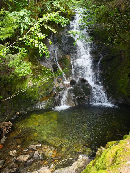 stock image Rainbow Falls waterfall about ten miles from Ketchikan, Alaska, plunges into a clear shallow pool amid large boulders