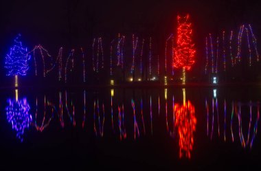 Noel ışıkları yükselen ağaç gövdeleri kuzeydoğu Ohio şehir parkındaki bir göletin sakin sularına yansıyor..