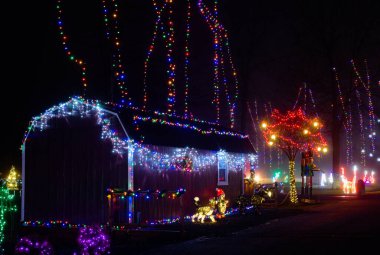 Kuzeydoğu Ohio şehir parkındaki küçük bir bina Noel ışıklarıyla kaplıdır ve uzun ağaçlara tırmanan ince iplerin altında durur..