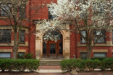 Cleveland, Ohio 'daki eski bir binanın girişinde kiraz çiçekleri açar.