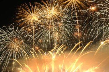 Firework.Beautiful display of colorful fireworks on a night sky background.Light abstract