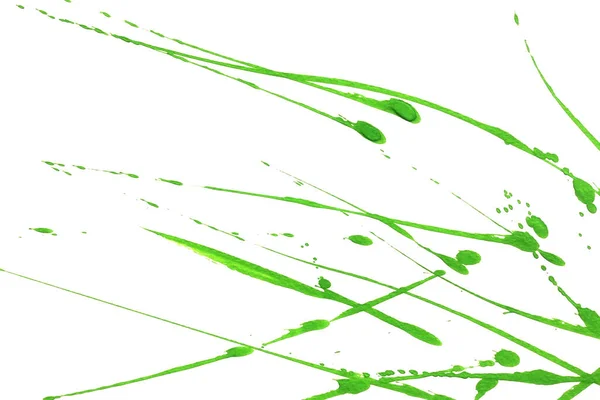 Yeşil suluboya ya da mürekkep desenleri beyaz arkaplan üzerinde sıçrama ve çizgiler, soyut suluboya