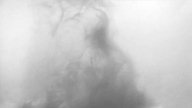 Beyaz arka planda siyah renkli boya, soyut duman deseni, renkli sıvı boya, sıçrama.