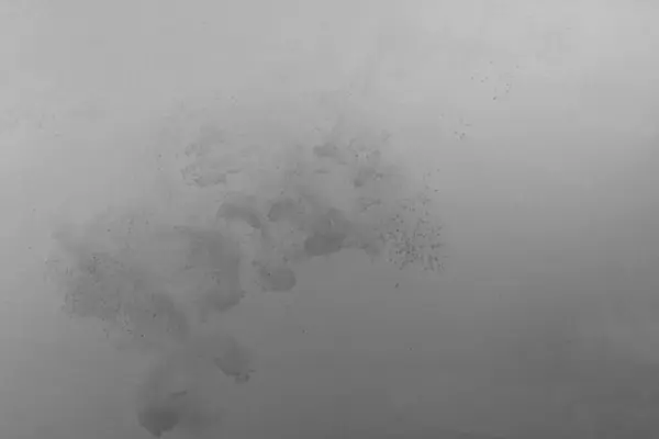 Beyaz arka planda siyah renkli boya, soyut duman deseni, renkli sıvı boya, sıçrama.