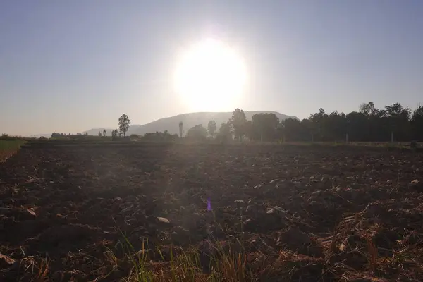Toprağı güneşte pirinç ekmeye hazırlıyorum. Pirinç tarlası, saban, Tayland.