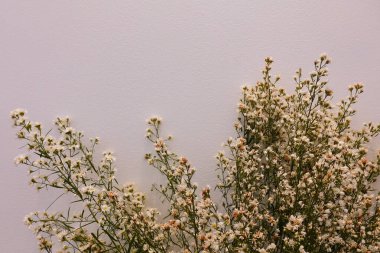 Beyaz arka planda çiçekler düğünü süsleyen düğün çiçekleri, düğün buketi süslemek için beyaz ve sarı çiçekler.