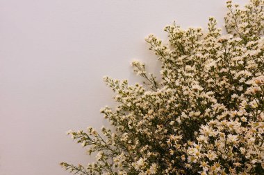 Beyaz arka planda çiçekler düğünü süsleyen düğün çiçekleri, düğün buketi süslemek için beyaz ve sarı çiçekler.