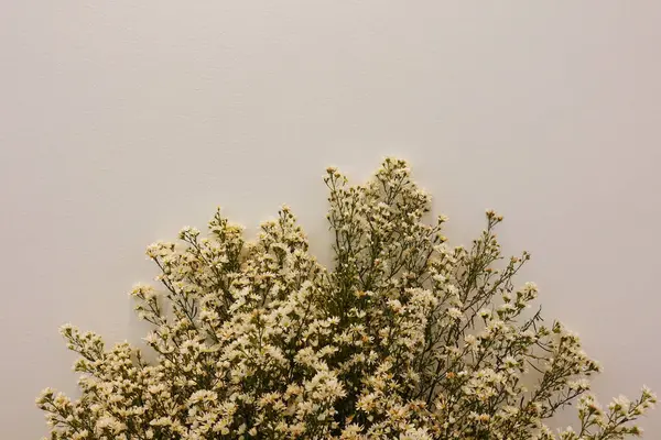 Beyaz arka planda çiçekler düğünü süsleyen düğün çiçekleri, düğün buketi süslemek için beyaz ve sarı çiçekler.