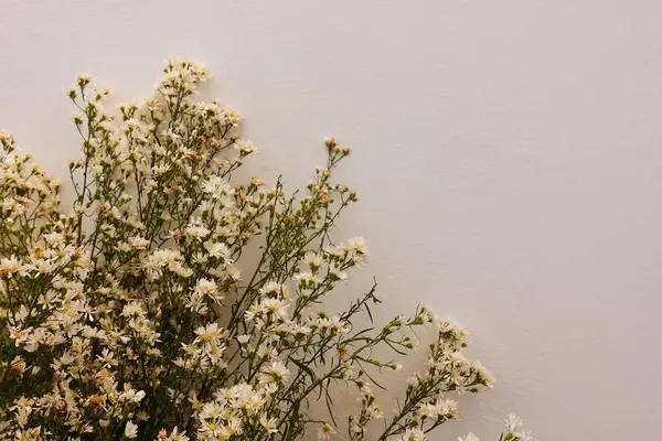 Beyaz arka planda çiçekler düğünü süsleyen düğün çiçekleri, düğün buketi süslemek için beyaz ve sarı çiçekler.