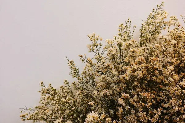 Beyaz arka planda çiçekler düğünü süsleyen düğün çiçekleri, düğün buketi süslemek için beyaz ve sarı çiçekler.