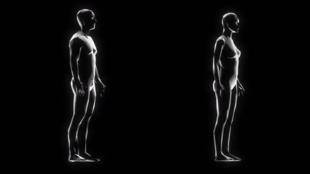 Fütürist Kadın Erkek Vücudu Düşük Poligramlı Nsan Hologramı Poligonal Sanal — Stok video