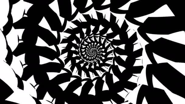 Complex Spiral Black White Optical Illusion Tunnel Psychedelic Spires Art — Stock Video