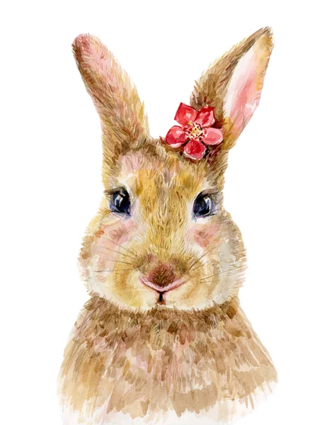 Cute Rabbit Cartoon Isolated White Watercolor Illustration — Stock Photo, Image