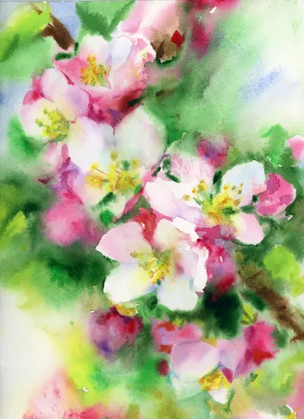 Blossoming tree flowers painting,  floral background. Watercolor illustration.