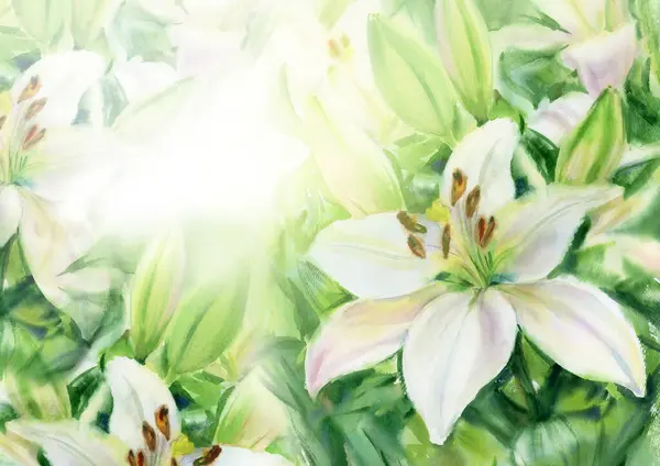 White Lilies Floral Background Watercolor Illustration — Stock Photo, Image