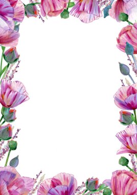 Pembe çiçekler beyaz üzerine izole edilmiş çerçeveler. Çiçek sınırı. Suluboya çizimi.