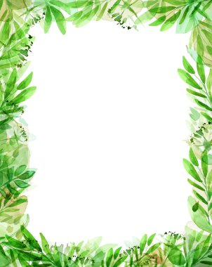 Yeşil yapraklar beyaz üzerine izole edilmiş. Suluboya el çizimi çizimi.