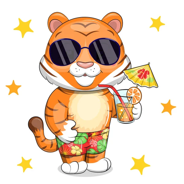 stock vector Cute cartoon tiger in sunglasses and shorts with a drink. Summer animal vector illustration isolated on white background with yellow stars.