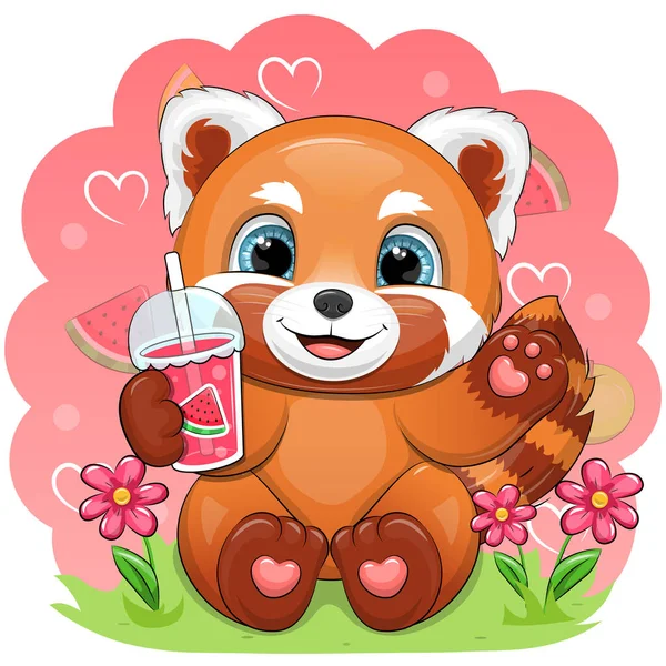Słodka Kreskówkowa Czerwona Panda Trzyma Sok Arbuza Wektorowa Ilustracja Zwierzęcia — Wektor stockowy