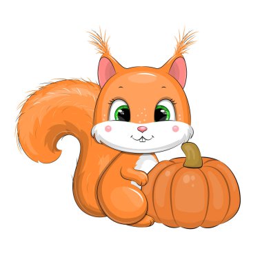 Balkabaklı şirin bir sincap. Beyaz arkaplandaki hayvanın vektör çizimi.