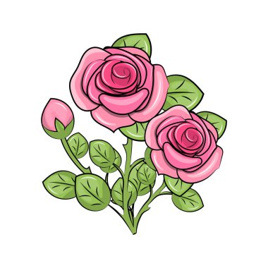 Şirin pembe güller. Beyaz arkaplandaki çiçeklerin vektör illüstrasyonu.