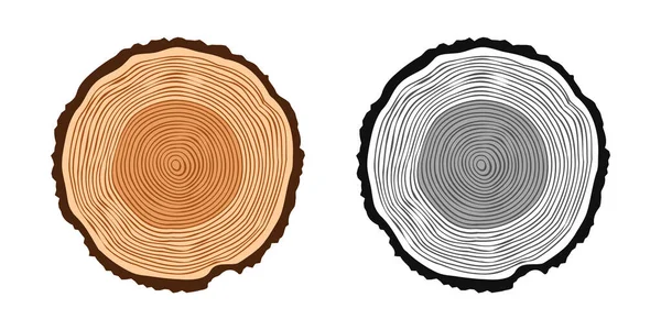 Rundstämme Verschiedenen Farben Gesägte Kiefern Oder Eichenscheiben Schnittholz Schnittholz Holz — Stockvektor