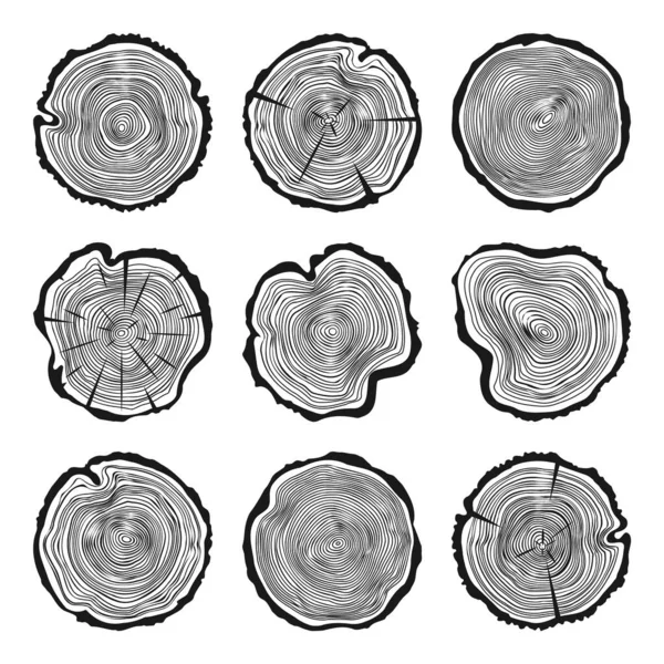 松やオークのスライス 木材で丸い木の幹のカット 木を切った木を見た 木の輪で木の質感 手描きスケッチ ベクターイラスト — ストックベクタ