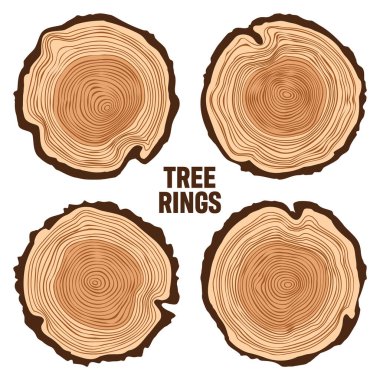 Yuvarlak ağaç gövdesi kesikleri, testereli çam veya meşe dilimleri, kereste. Kesilmiş kereste, ahşap. Kahverengi ahşap desenli ve ağaç halkalı. El çizimi eskiz. Vektör illüstrasyonu.