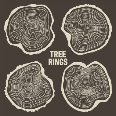 Yuvarlak ağaç gövdesi kesikleri, testereli çam veya meşe dilimleri, kereste. Kesilmiş kereste, ahşap. Kahverengi ahşap desenli ve ağaç halkalı. El çizimi eskiz. Vektör illüstrasyonu.