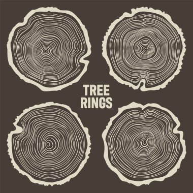 Yuvarlak ağaç gövdesi kesikleri, testereli çam veya meşe dilimleri, kereste. Kesilmiş kereste, ahşap. Kahverengi ahşap desenli ve ağaç halkalı. El çizimi eskiz. Vektör illüstrasyonu.