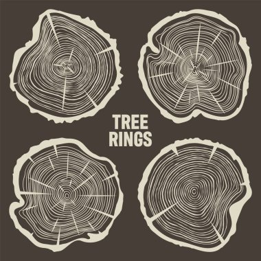 Yuvarlak ağaç gövdesi kesikleri, çam ağacı veya meşe dilimleri, kereste. Kesilmiş kereste, ahşap. Kahverengi ahşap desenli ve ağaç halkalı. El çizimi eskiz. Vektör illüstrasyonu.
