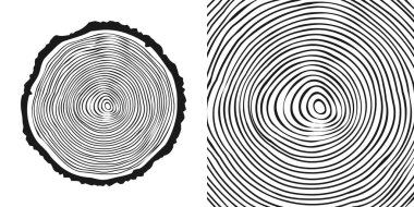Yuvarlak ağaç gövdesi, kesilmiş çam veya meşe ağacı dilimi. Kesilmiş kereste, ahşap. Ağaç halkalı ahşap bir doku. El çizimi eskiz. Vektör illüstrasyonu.