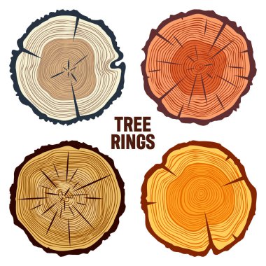Round colorful tree trunk cuts, sawn pine or oak slices, lumber. Saw cut timber, wood. Brown wooden texture with tree rings. Hand drawn sketch. Vector illustration.