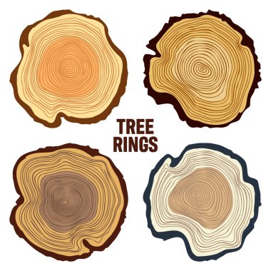 Round colorful tree trunk cuts, sawn pine or oak slices, lumber. Saw cut timber, wood. Brown wooden texture with tree rings. Hand drawn sketch. Vector illustration.