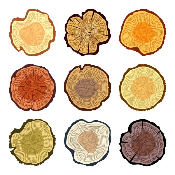 Colorful Tree Trunk Cuts Sawn Pine Oak Slices Lumber Saw — стоковый вектор