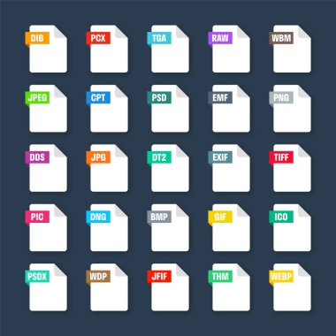 Common system file formats. Document types and extensions. Flat style icons collection. Document pictogram, web design UI element, template. Computer program or application icon. Vector illustration.