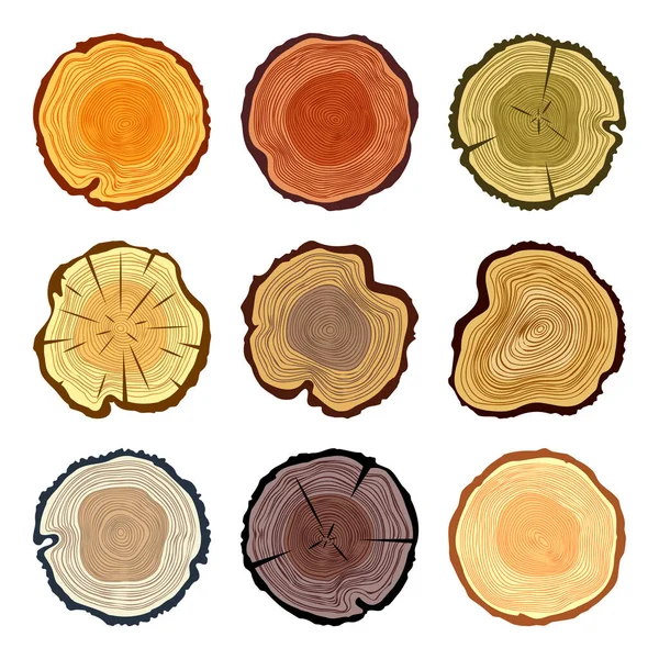 stock vector Round colorful tree trunk cuts, sawn pine or oak slices, lumber. Saw cut timber, wood. Brown wooden texture with tree rings. Hand drawn sketch. Vector illustration.