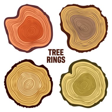 Round colorful tree trunk cuts, sawn pine or oak slices, lumber. Saw cut timber, wood. Brown wooden texture with tree rings. Hand drawn sketch. Vector illustration.
