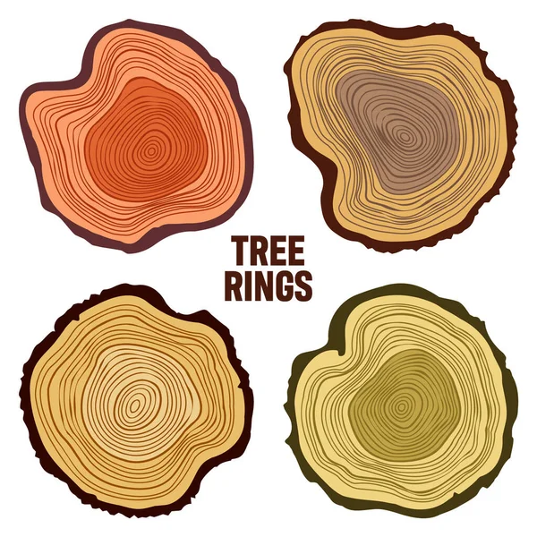 Colorful Tree Trunk Cuts Sawn Pine Oak Slices Lumber Saw — Διανυσματικό Αρχείο