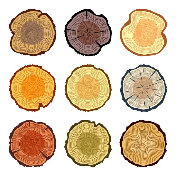 Colorful Tree Trunk Cuts Sawn Pine Oak Slices Lumber Saw — стоковый вектор